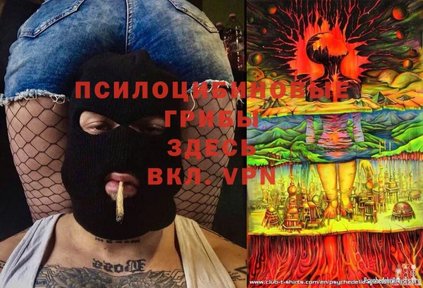 крисы Аркадак
