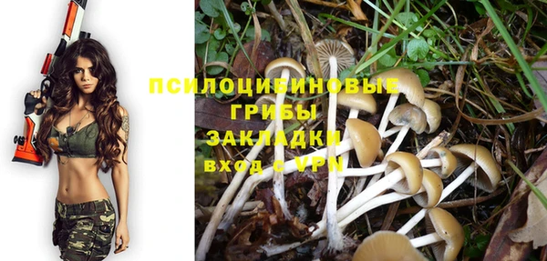 крисы Аркадак