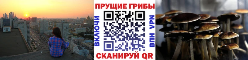 Псилоцибиновые грибы мухоморы  Купить  Спасск 